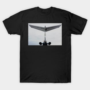 whale or tail T-Shirt